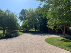 Allée gravillonnée bordée d’arbres dans un jardin ensoleillé