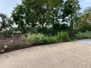 Jardin paysager avec massifs fleuris et allée gravillonnée