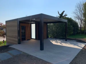 Abri de jardin moderne avec pergola