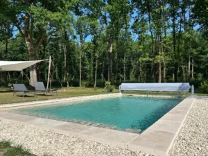 Piscine moderne entourée d’arbres et transats