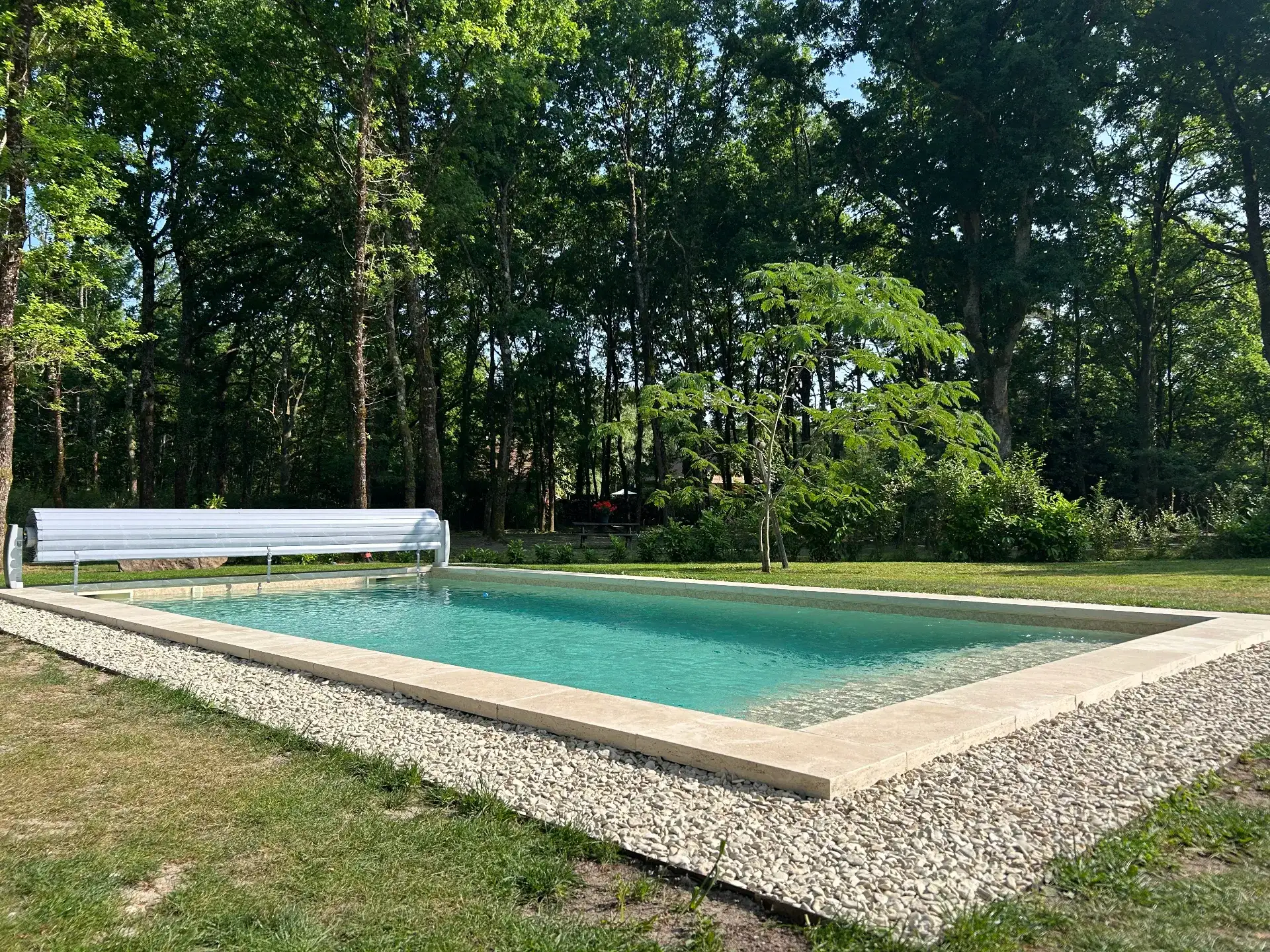 Piscine rectangulaire dans jardin boisé et verdoyant