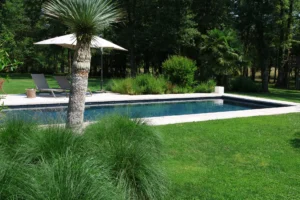 Piscine moderne entourée de jardin verdoyant et palmiers