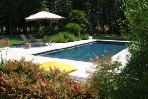 Piscine moderne entourée de verdure et transats
