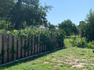 Clôture en bois entourée de verdure au soleil