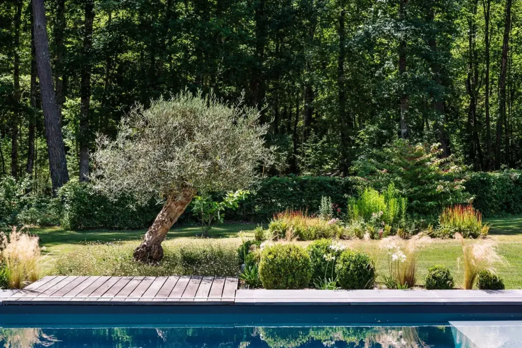 amenagement-paysager-abord-piscine-hydrobulles