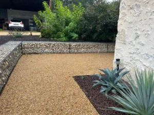 Jardin moderne en gravier avec plantes succulentes