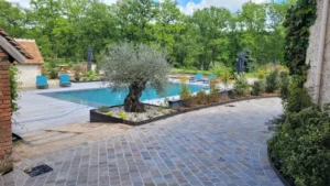 Piscine moderne avec terrasse et jardin arboré