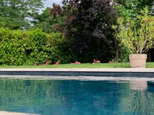 Piscine extérieure entourée d’un jardin verdoyant