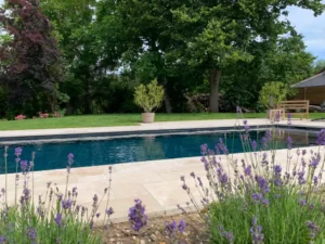 Piscine de jardin entourée de lavande et d’arbres