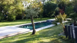 Piscine moderne dans jardin paysager verdoyant