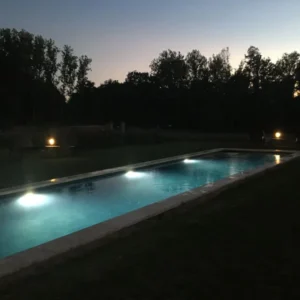 Piscine extérieure éclairée au crépuscule entourée d’arbres