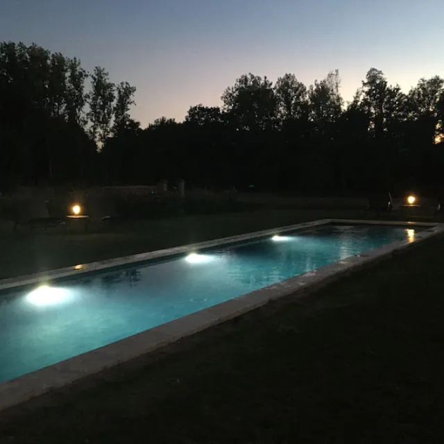 Piscine extérieure éclairée au crépuscule entourée d’arbres