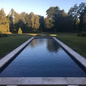 Bassin rectangulaire dans un jardin arboré au crépuscule